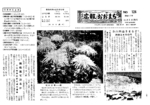 昭和37年11月5日号