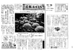 昭和36年11月5日号