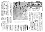 昭和34年11月5日号